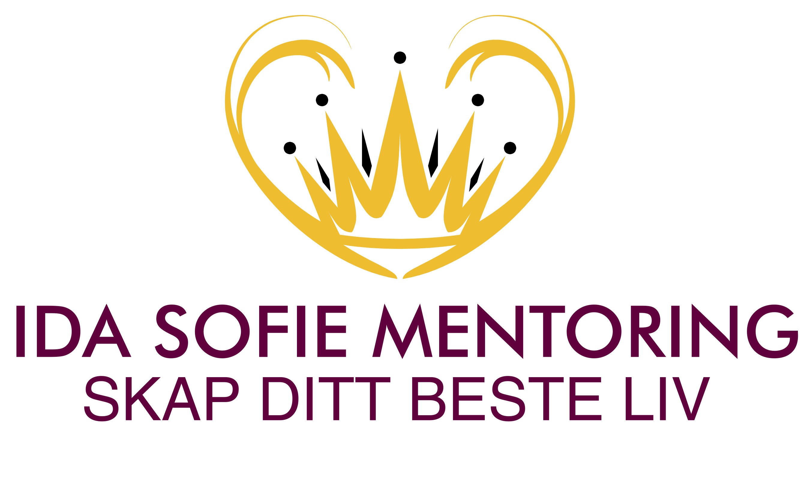 IDA SOFIE mentoring